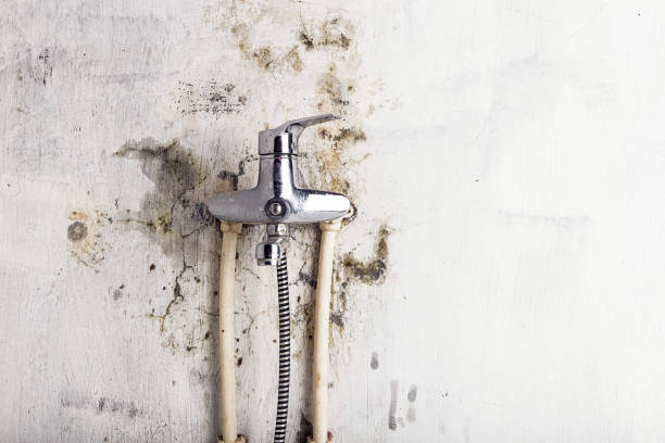  Fairbury, NE Mold Removal Pros