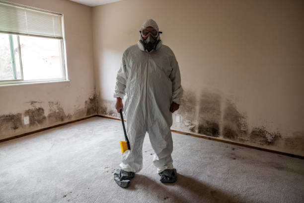 Mold Removal and Inspection in Fairbury, NE